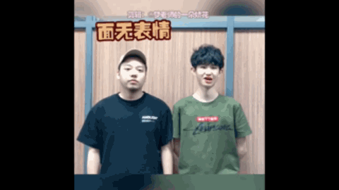 方案