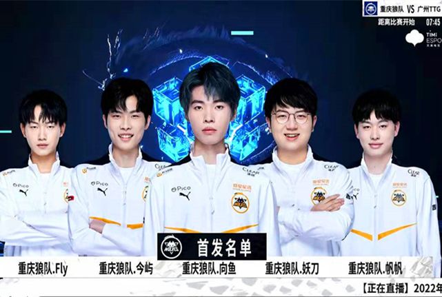 实战经验