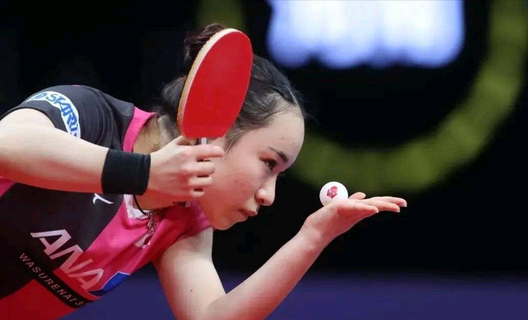 不仅展示了 不仅展示了