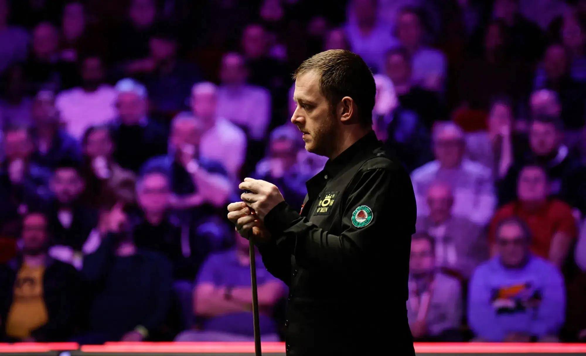 不仅彰显了 不仅彰显了