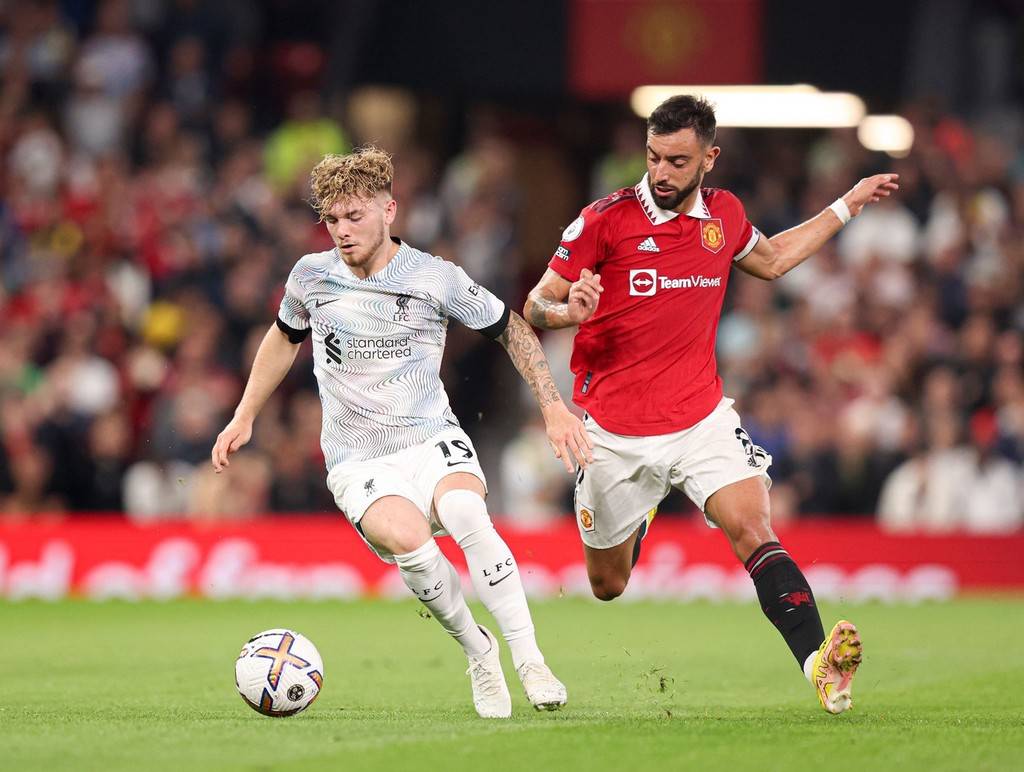 双方冗长的 双方冗长的